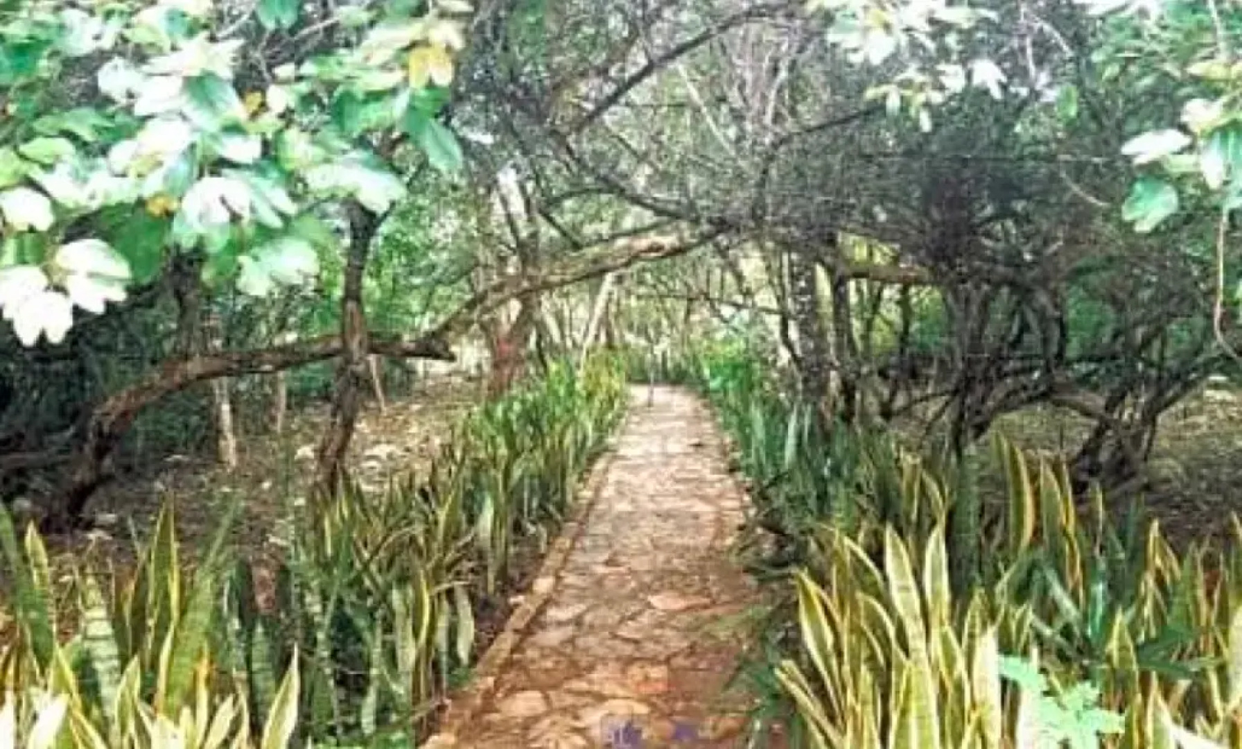 Sima de las Cotorras Lodge & Reserva Natural