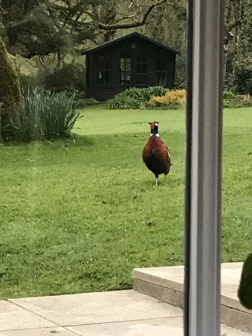 Tŷ Mawr Country Hotel
