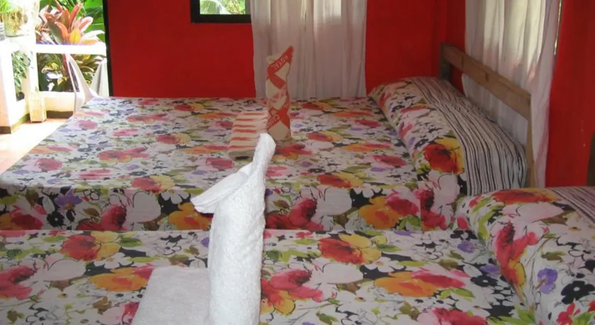 Sunset Cove Beach & Dive Resort