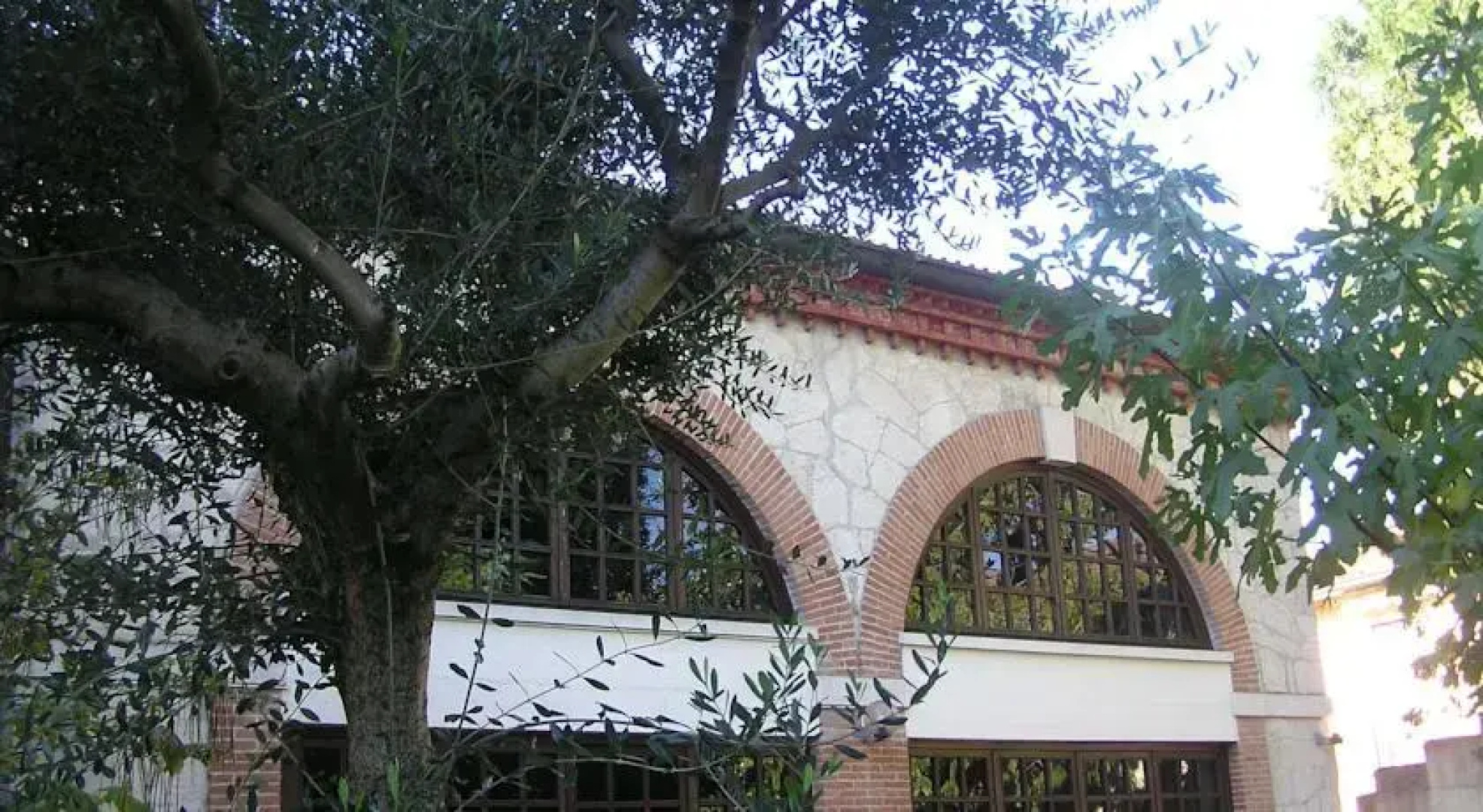 La Grande Acacia