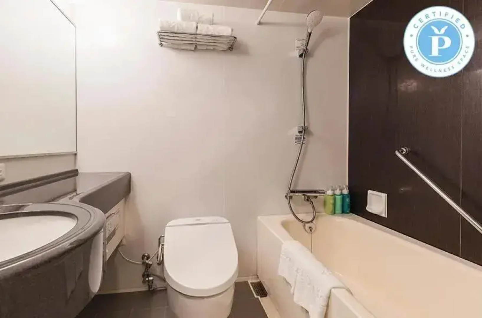 Отель Sunroute Plaza Shinjuku