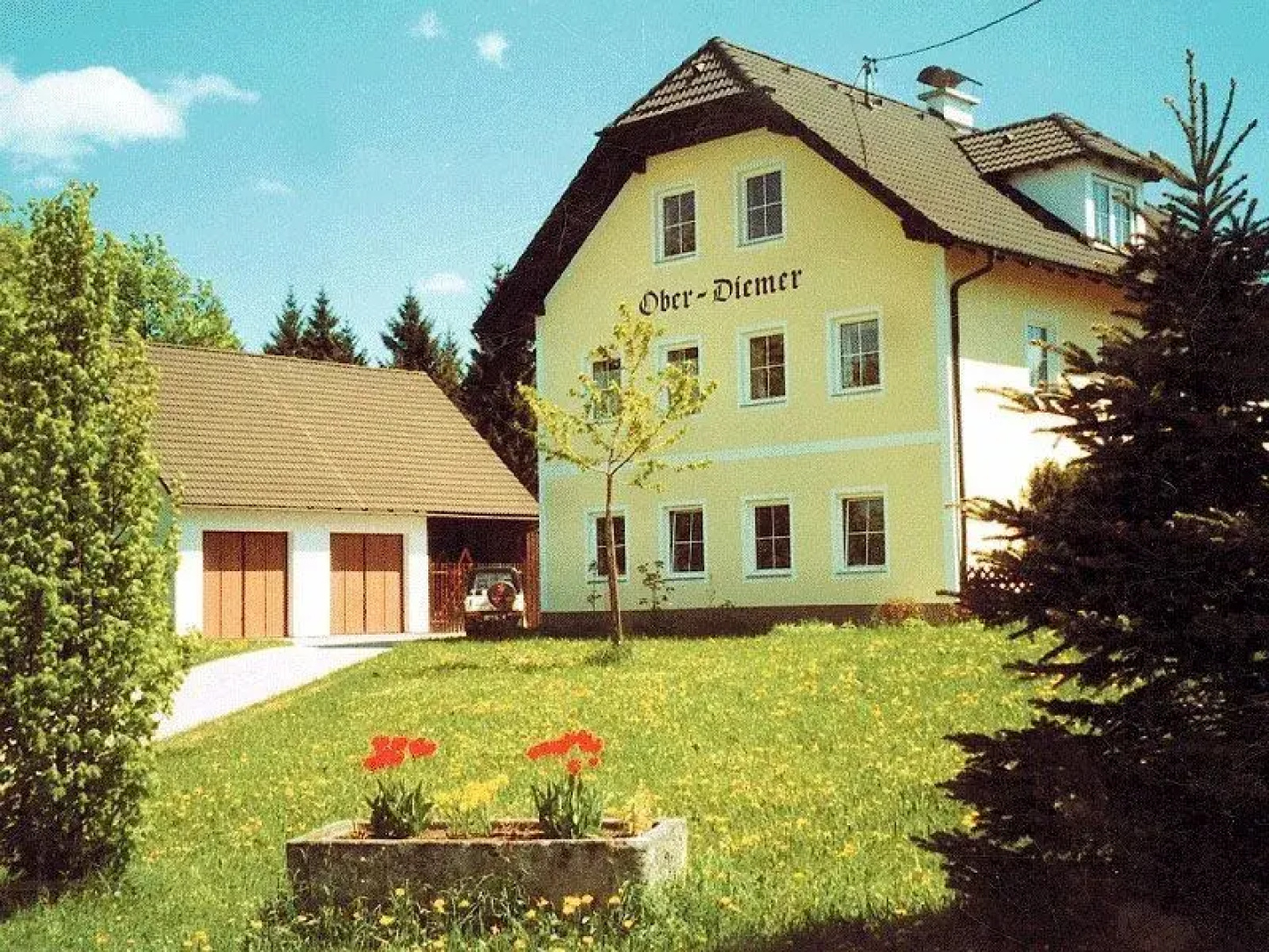 Ober-Diemer