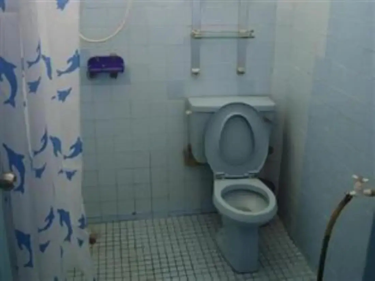 Miri Piasau Jaya Home Stay