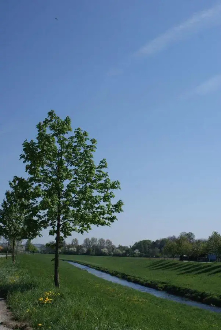 Gästehaus Zoechbauer
