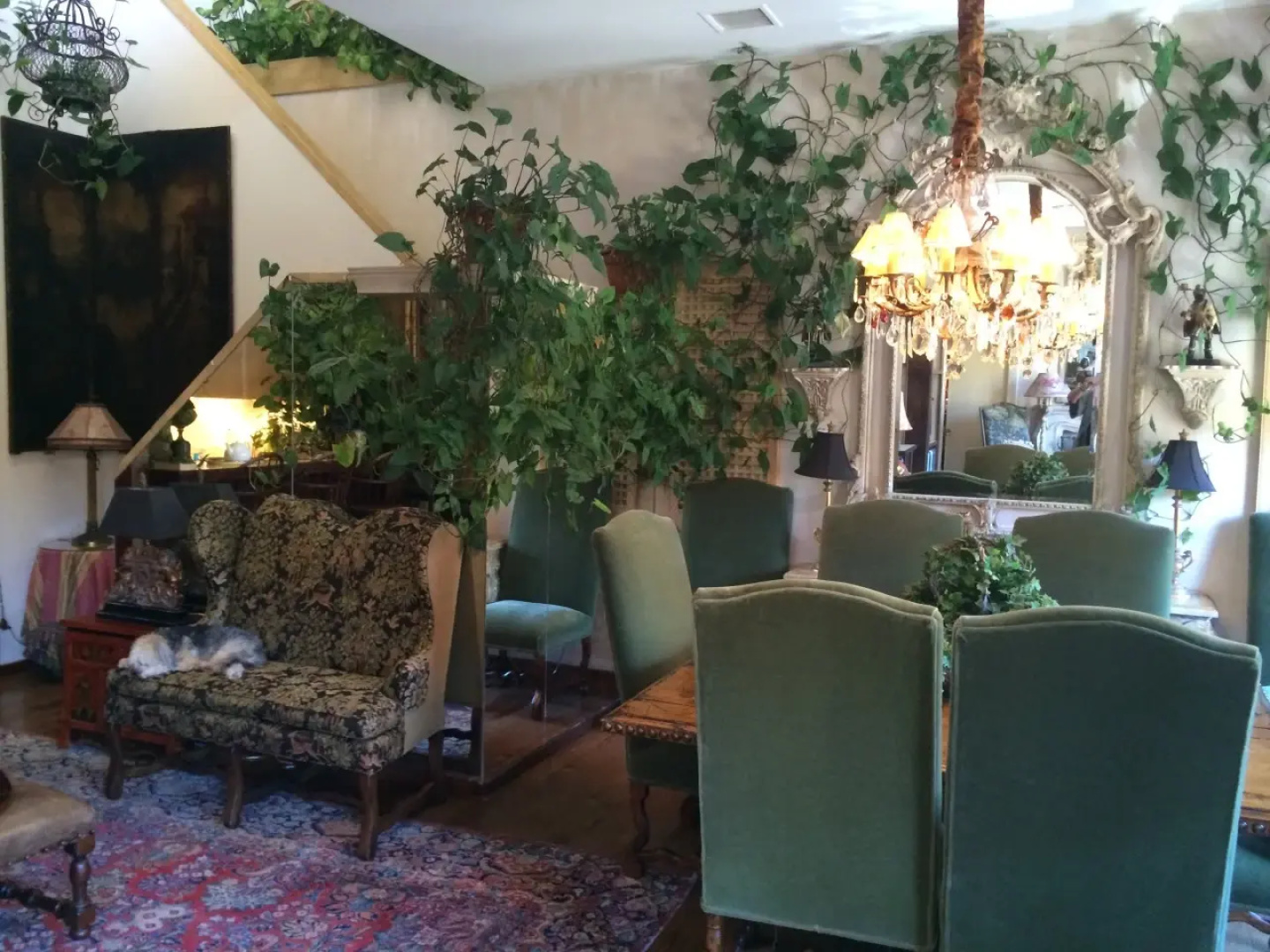 The Residence