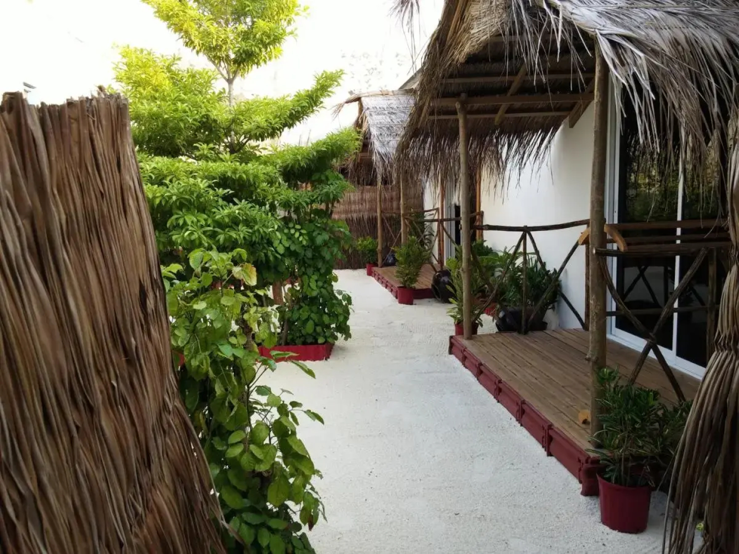 Maafushi View