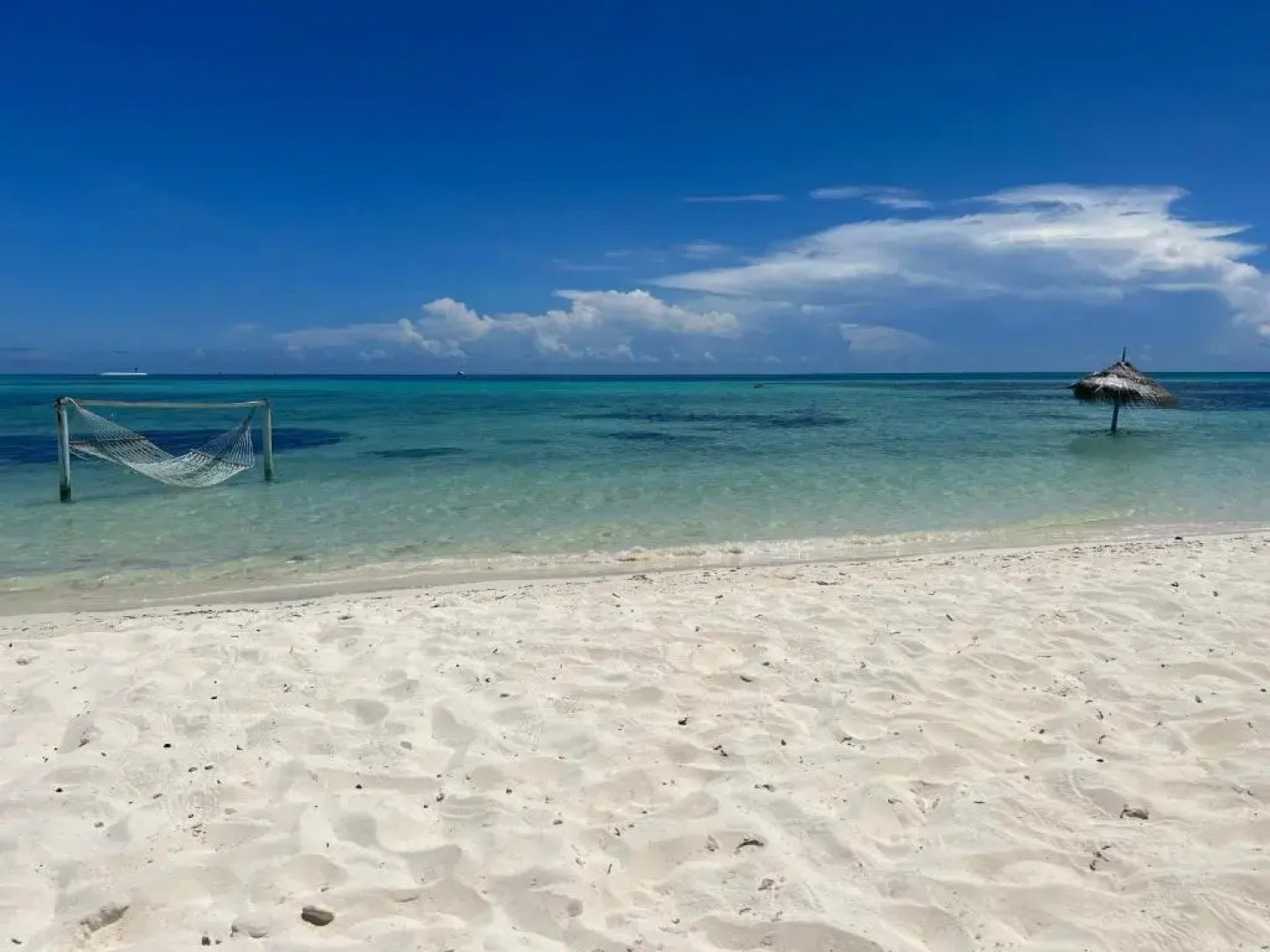 Shamar Guesthouse & Dive
