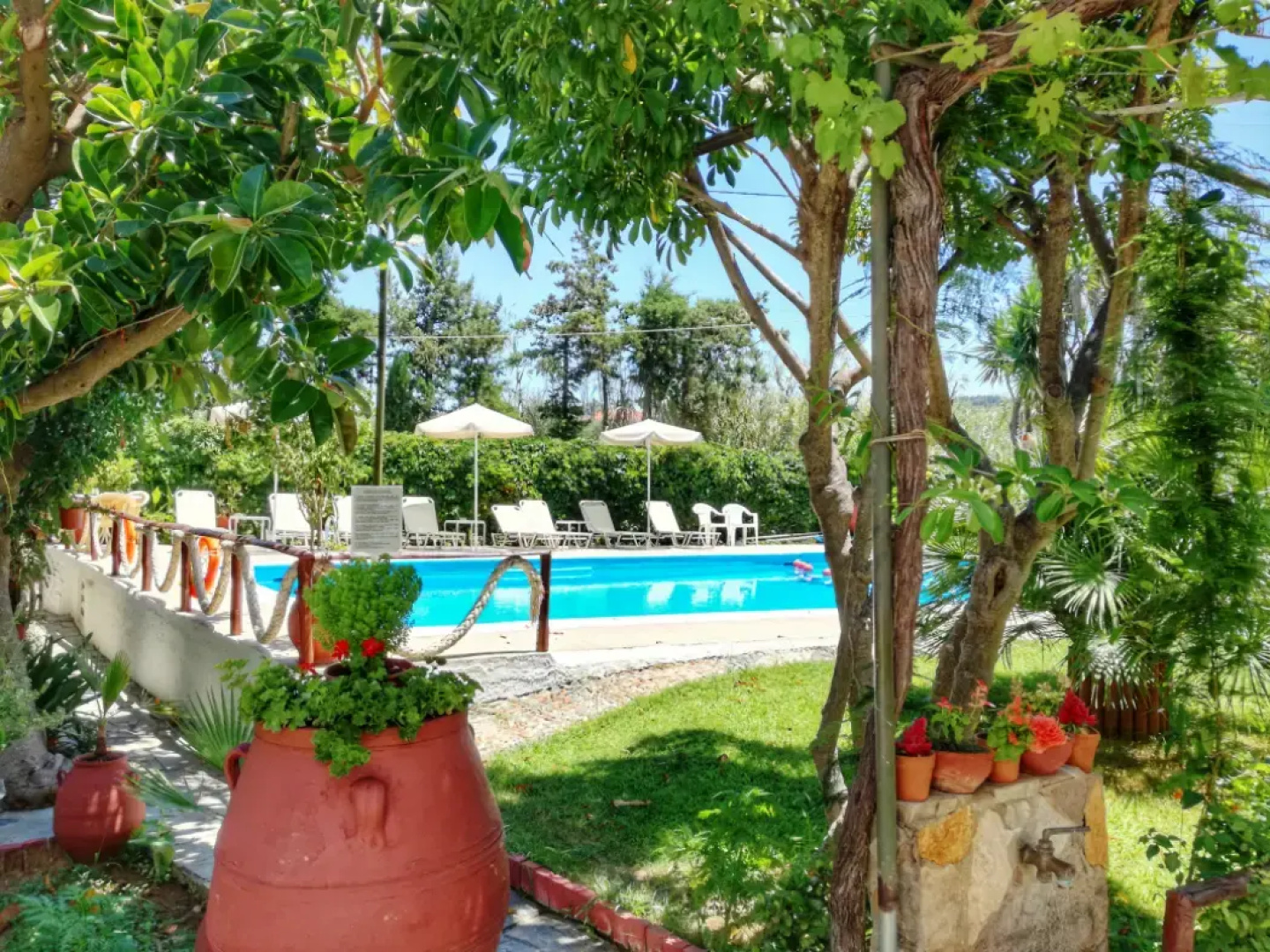 Summer Lodge