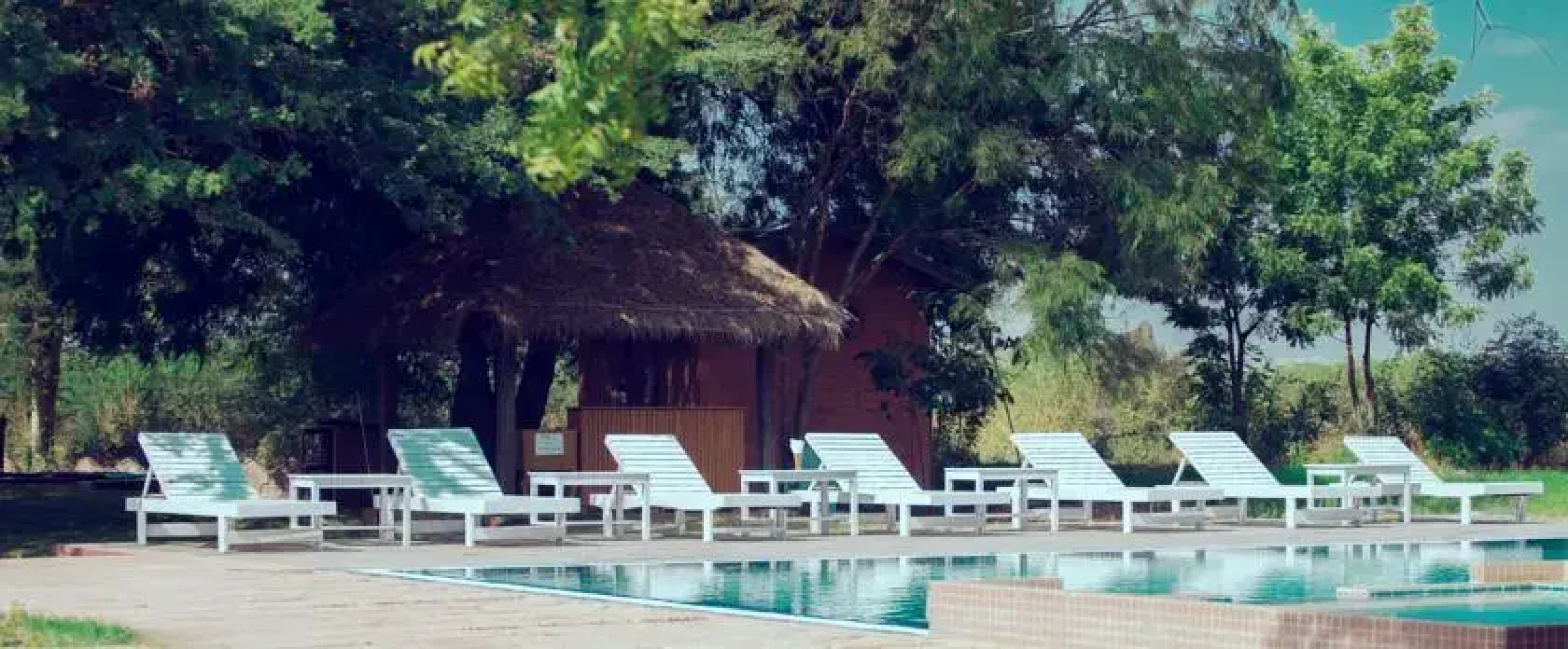 Kumudara Hotel Pagoda View