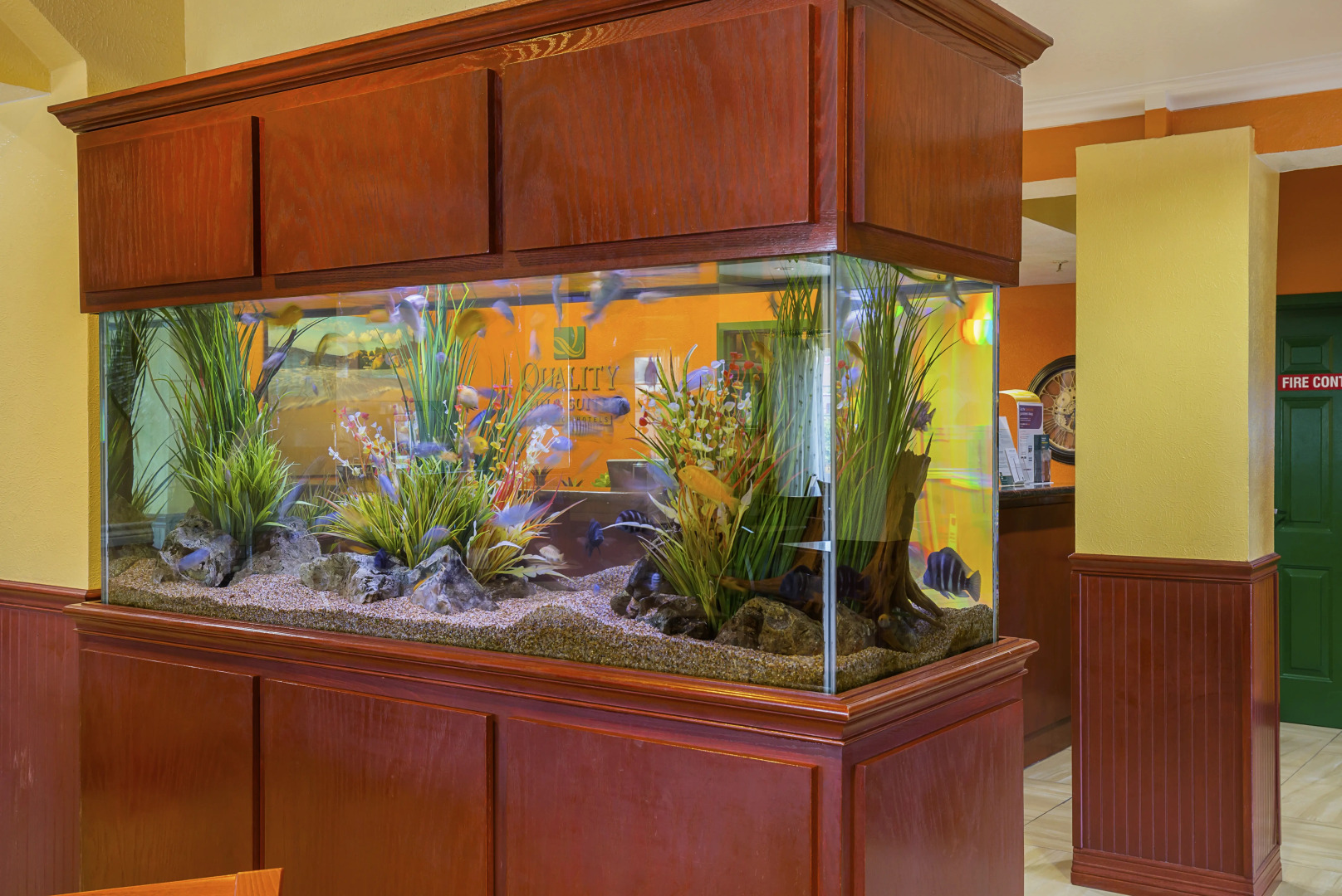 Quality Inn & Suites Galveston - Beachfront