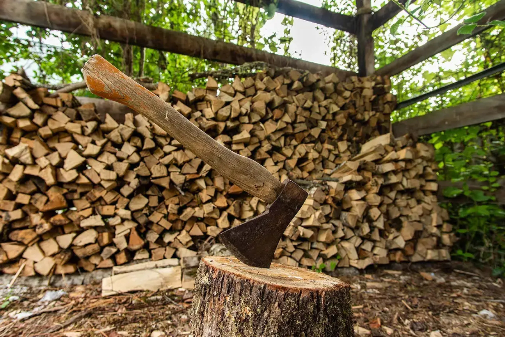 Эко-кемпинг Груша