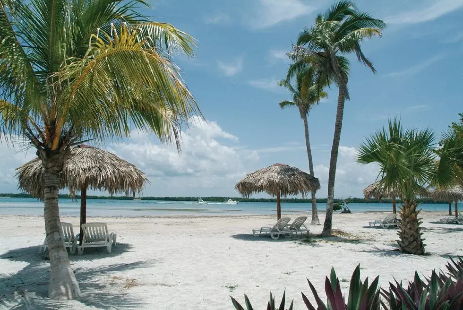 Hotel Swandor Varadero Beach