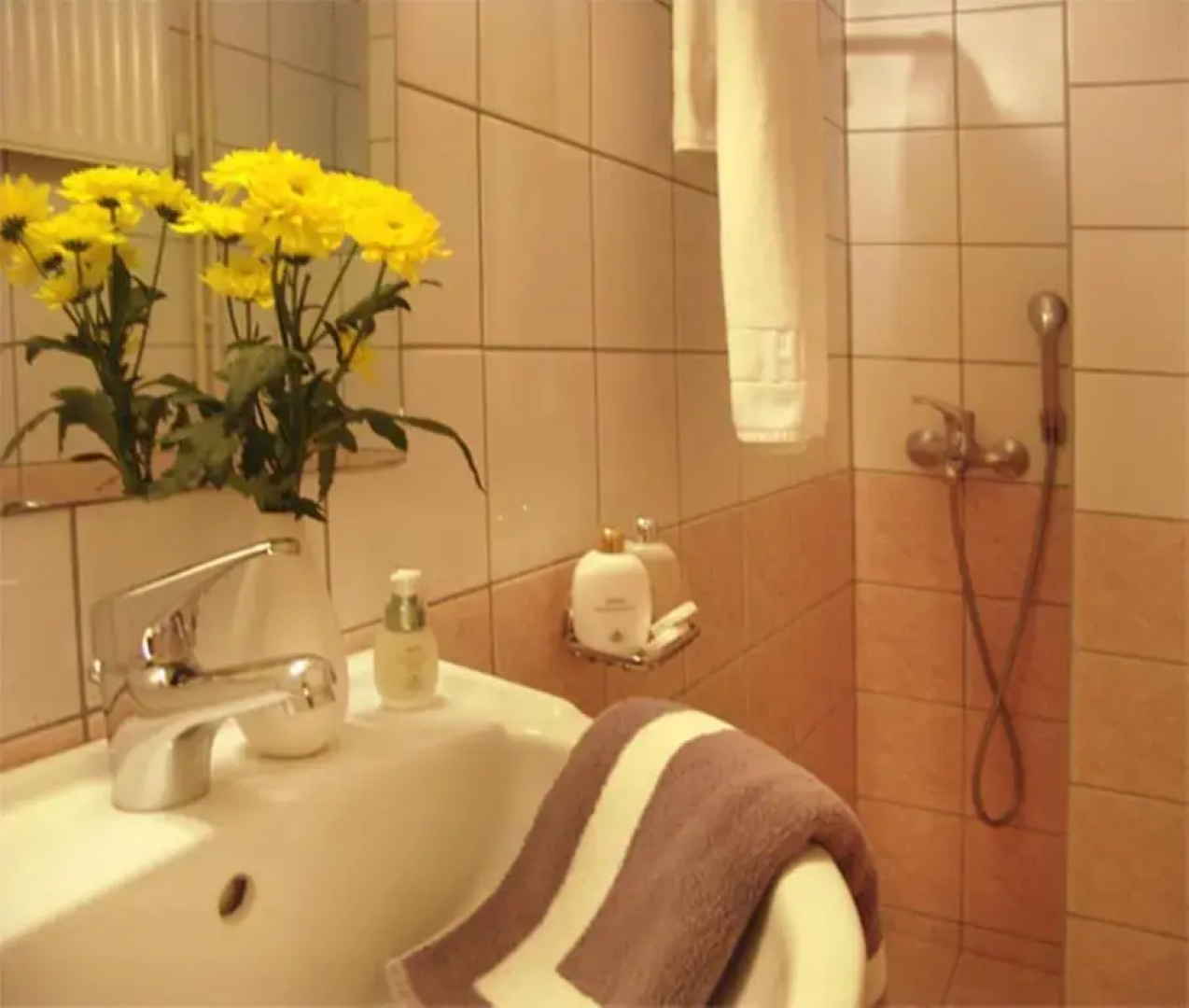 Hotel Platon
