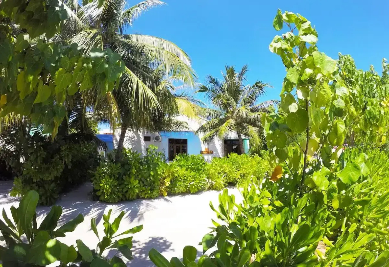 Ithaa Beach Maldives 