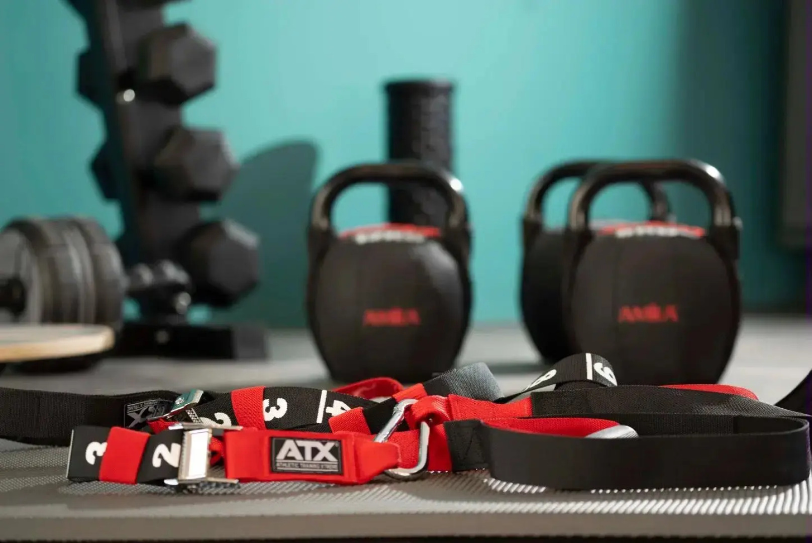 Introvert Maria Luisa