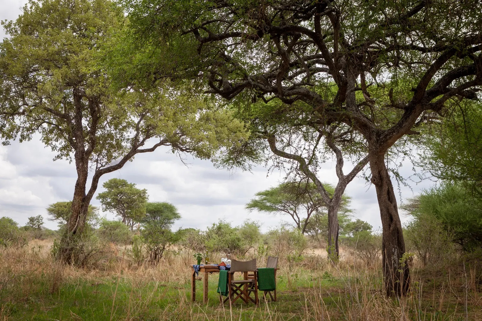 Baobab Tented Camp