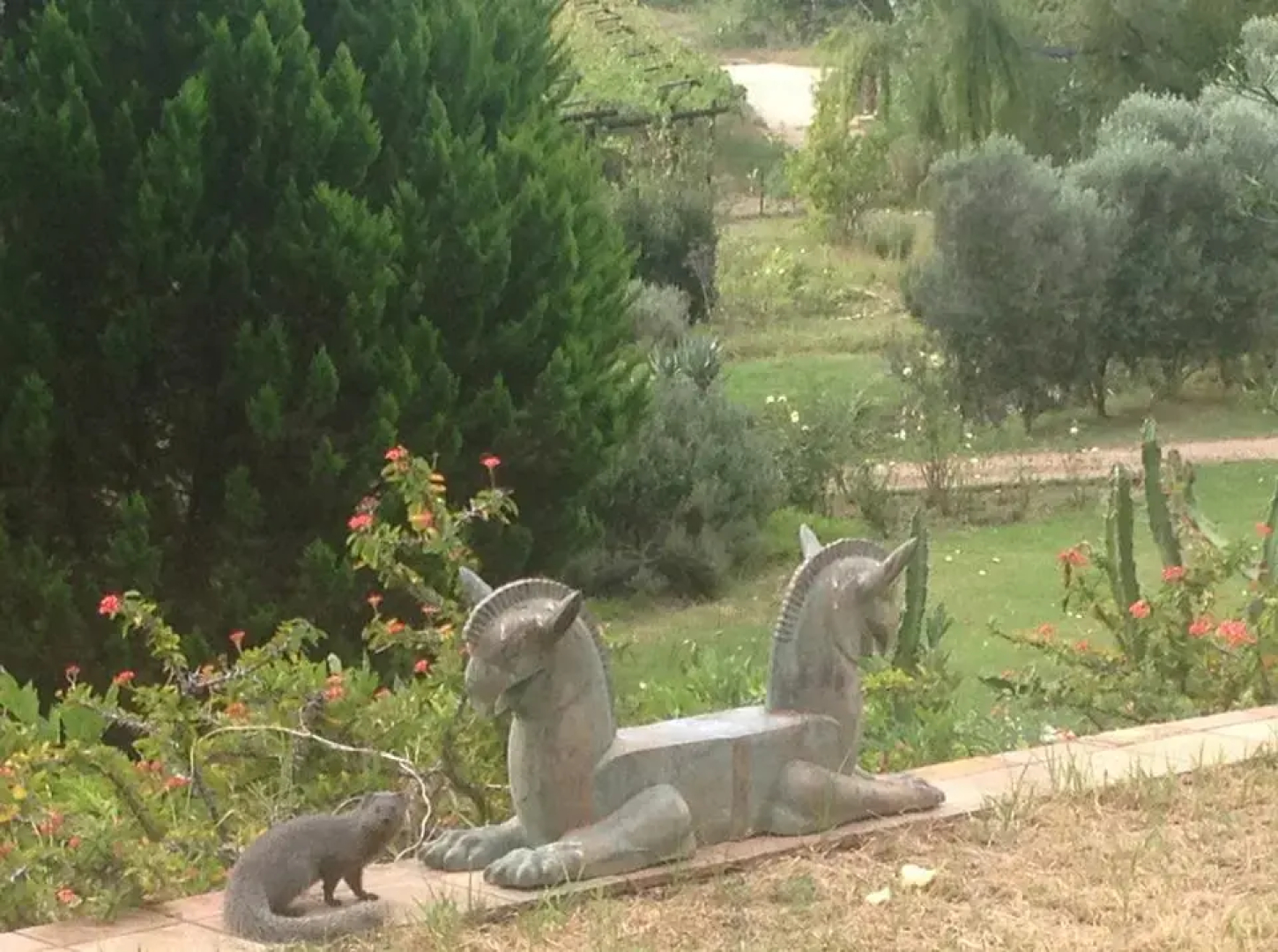 Mymering Guest House