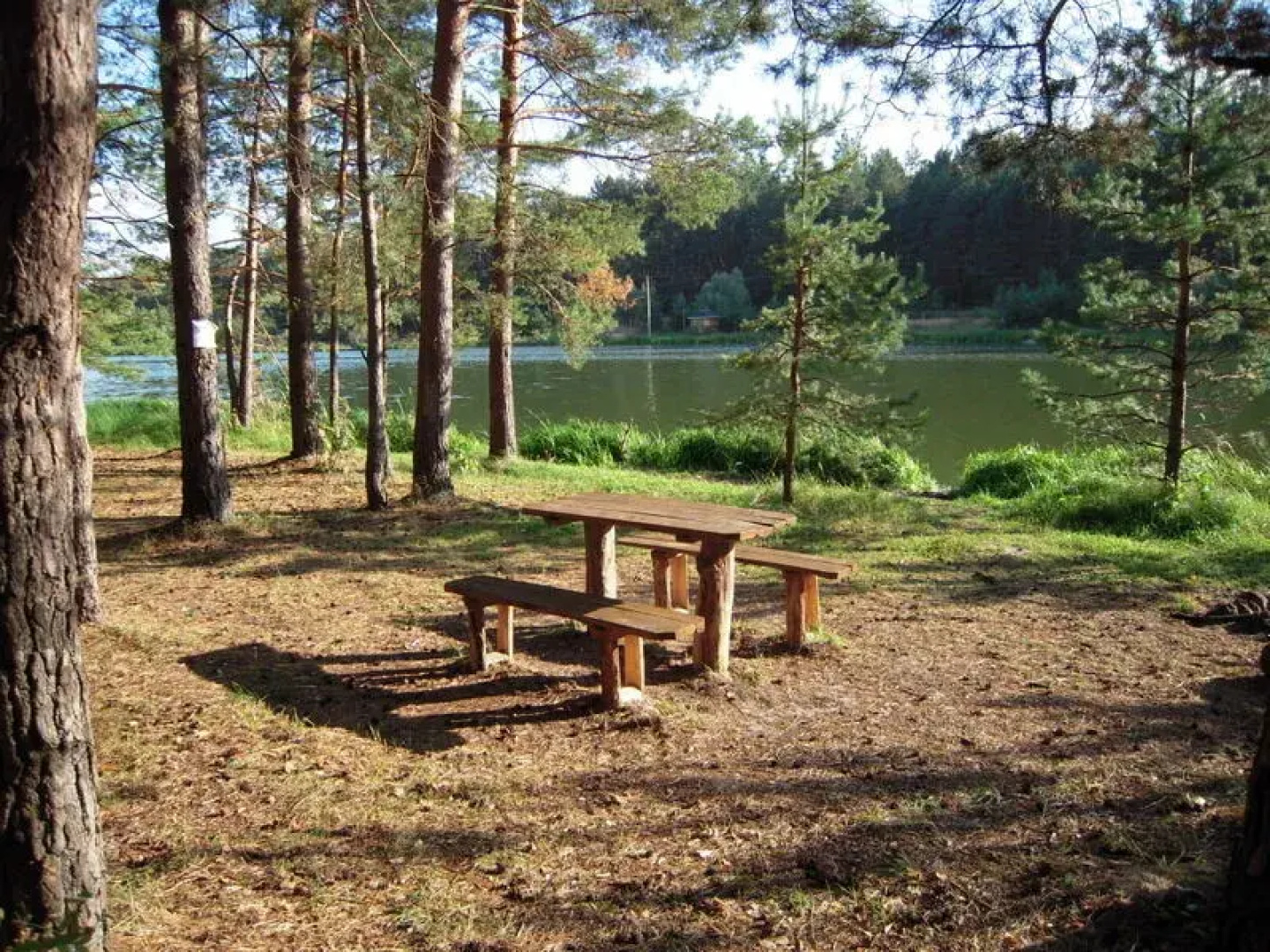 Tsaritsyna Slobodka Recreation Center