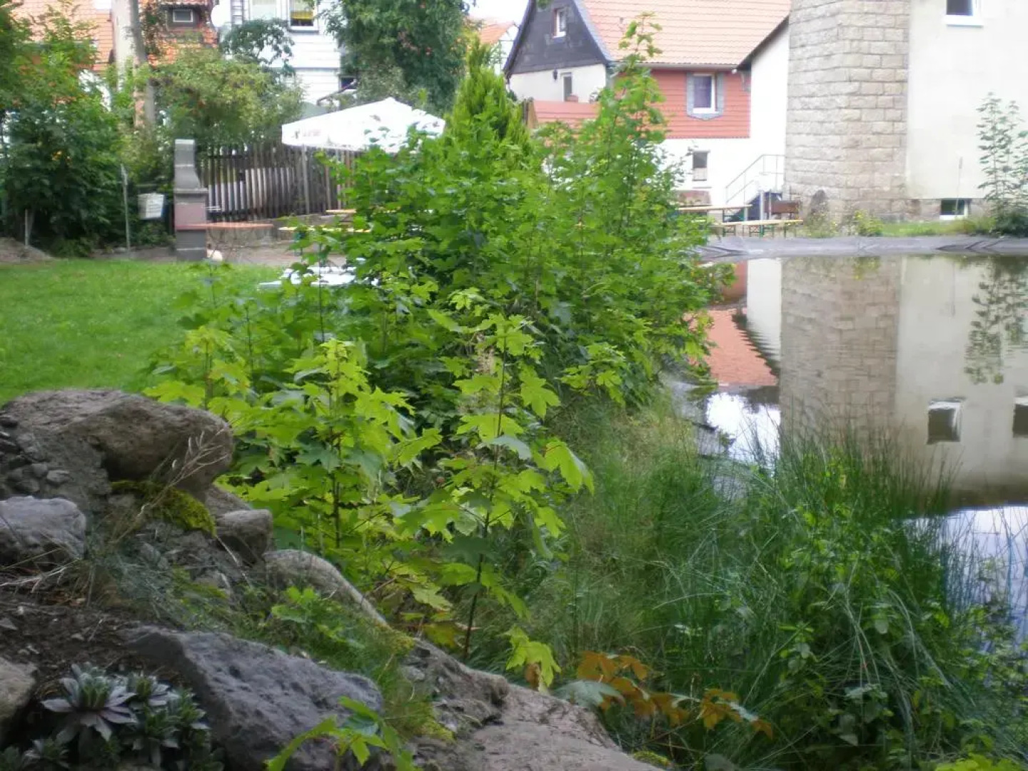 Altstadthotel Ilsenburg