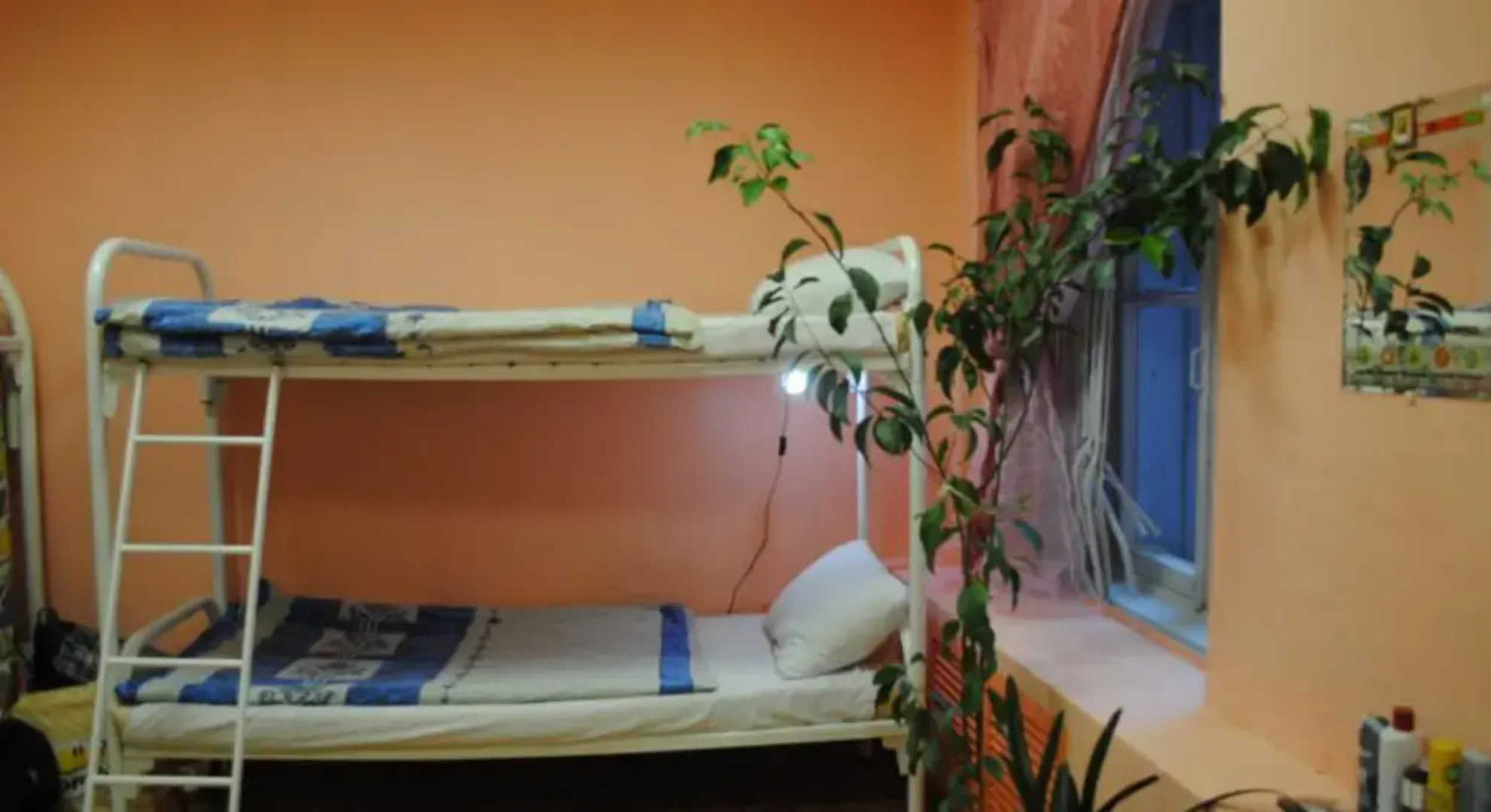 Botanic Hostel