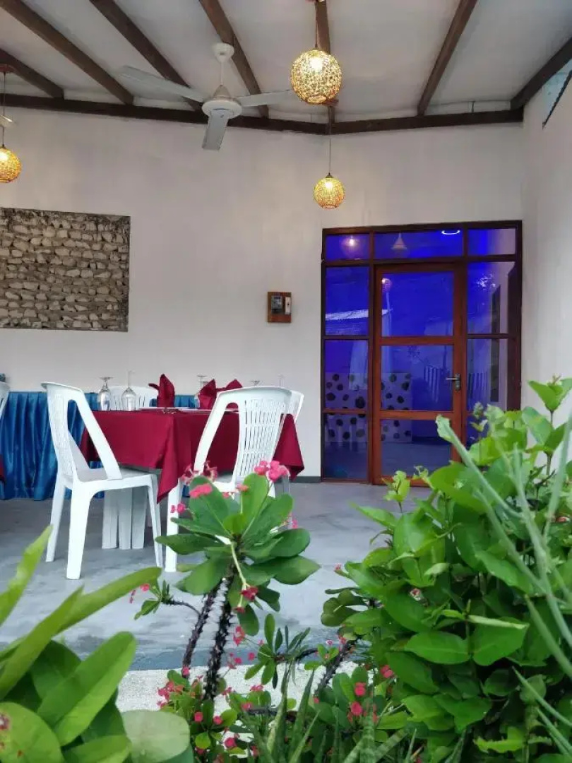 Отель Alkina Lodge