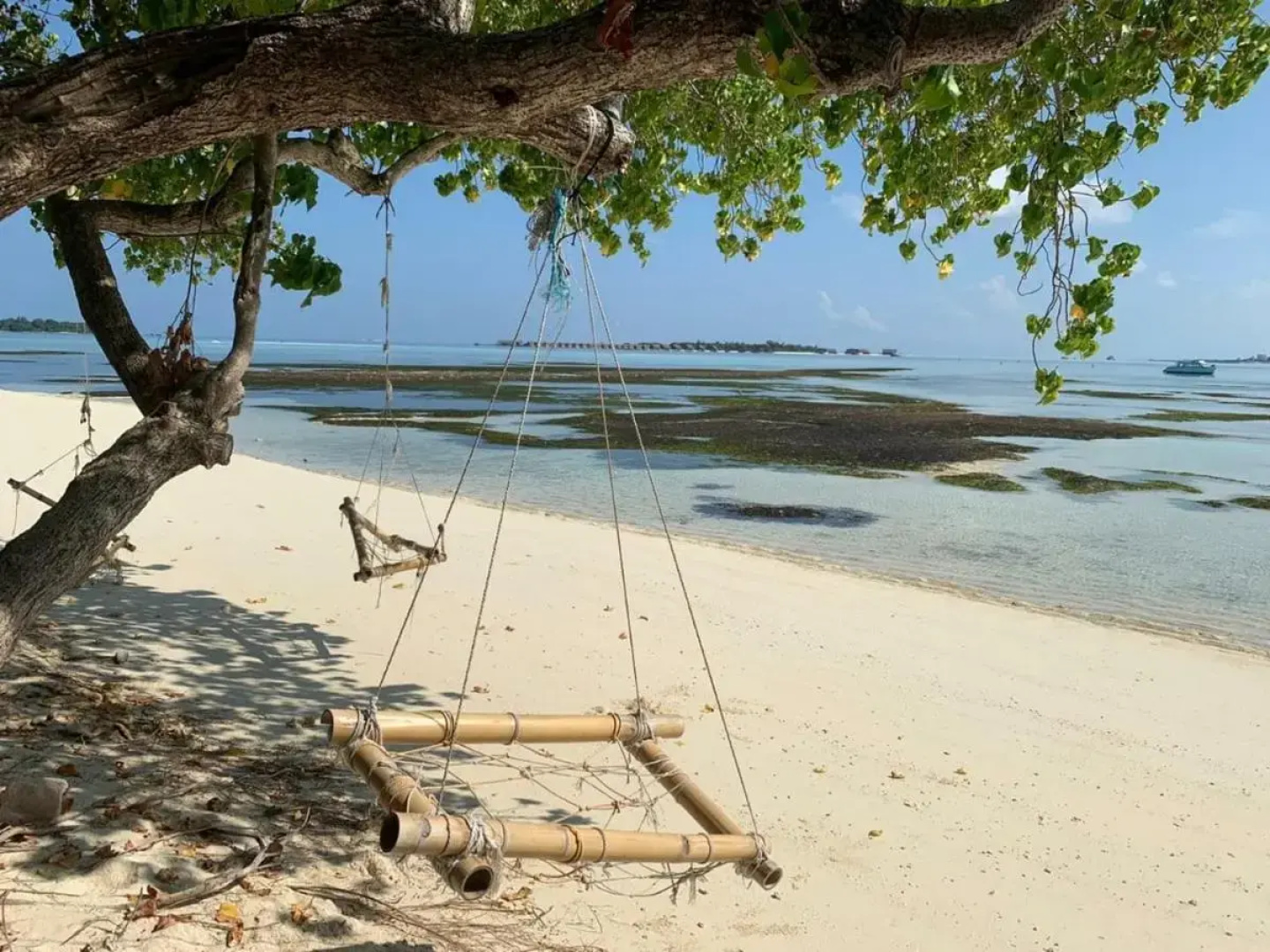 Отель La Isla Tropica