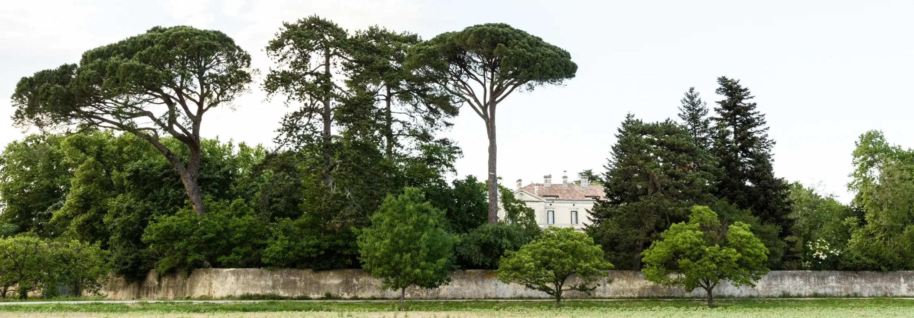 Chateau De Montcaud