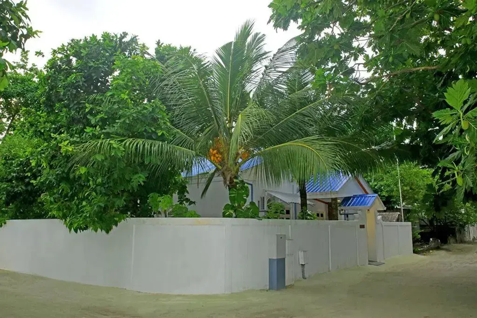 Thoddoo Ocean Front