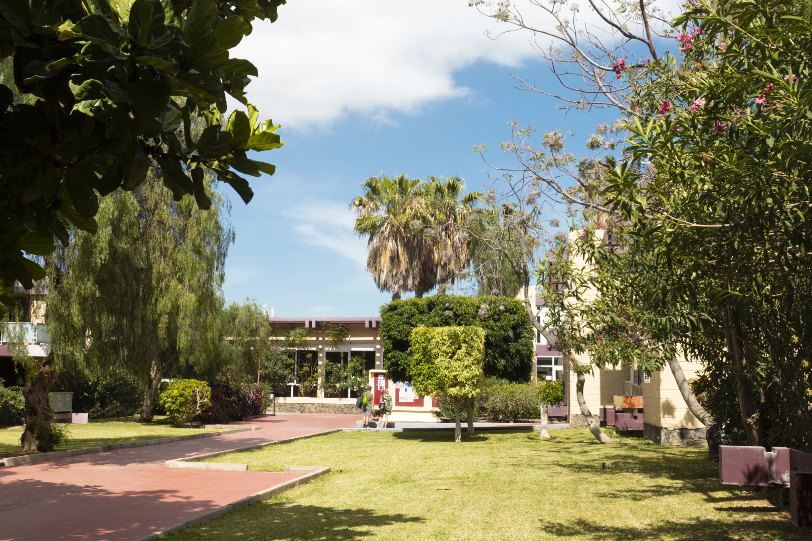 Hotel Palia Don Pedro