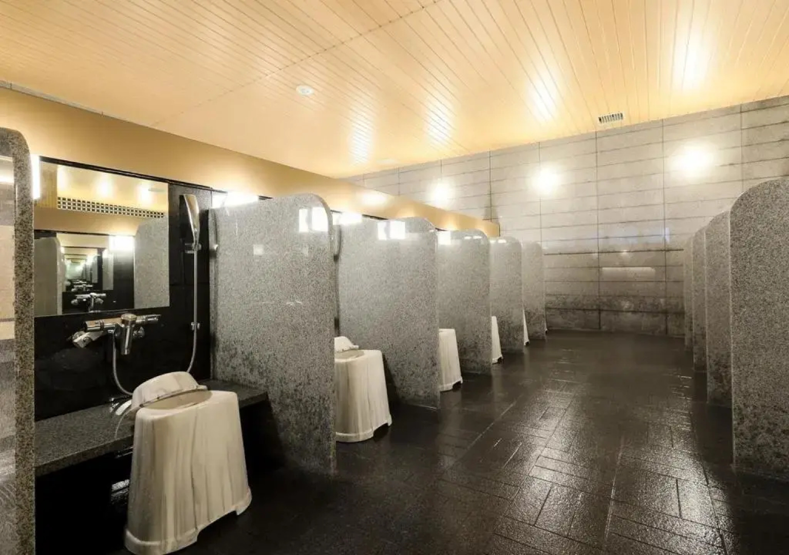 APA Hotel & Resort Niigata Ekimae Odori