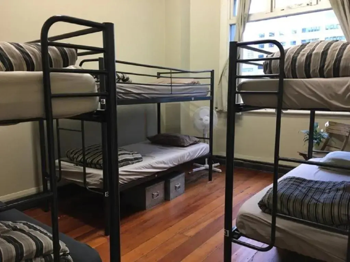 Surf 'N' Snow Backpackers - Hostel