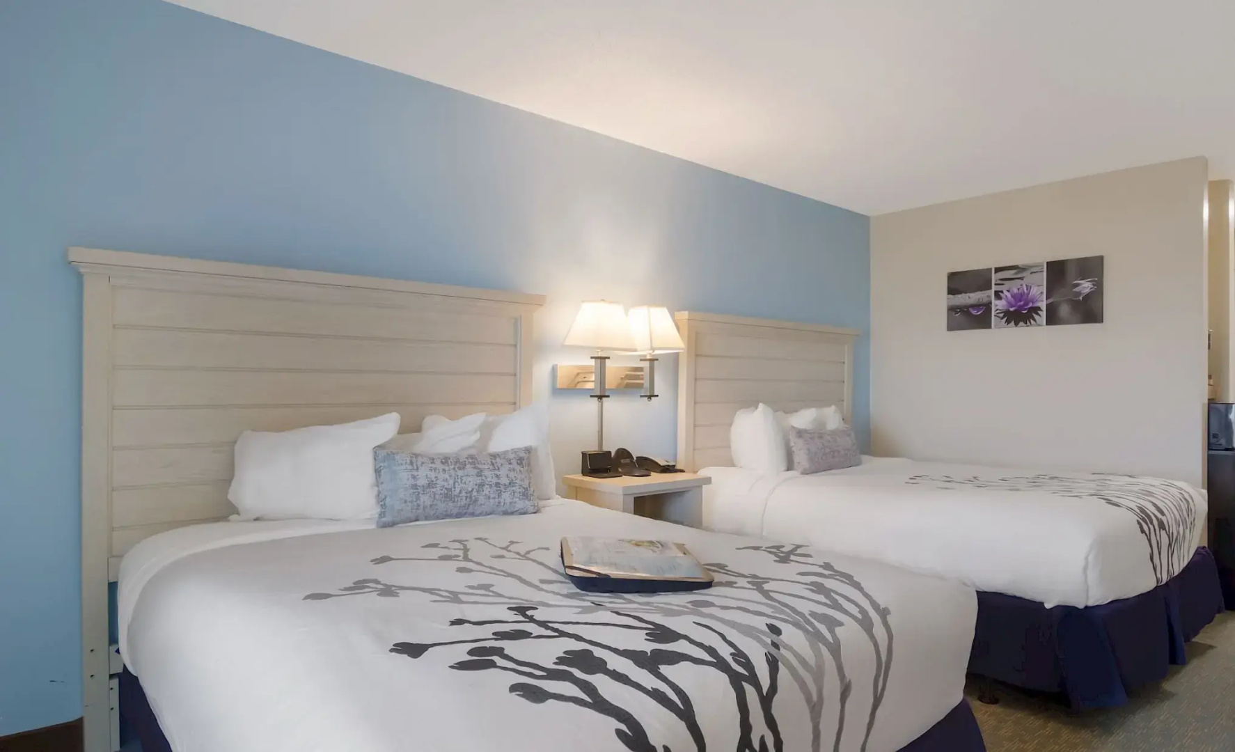 Ocean Sands Beach Boutique Inn - 1 Acre Private Beach