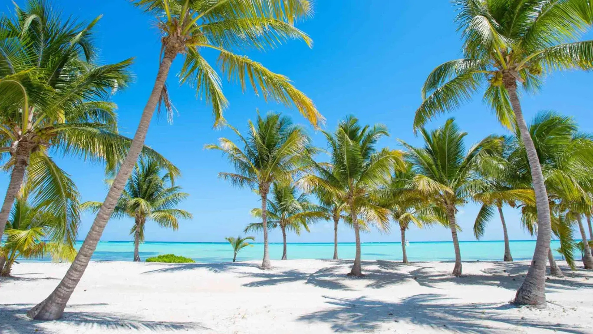 Marriott Miches Beach Resort