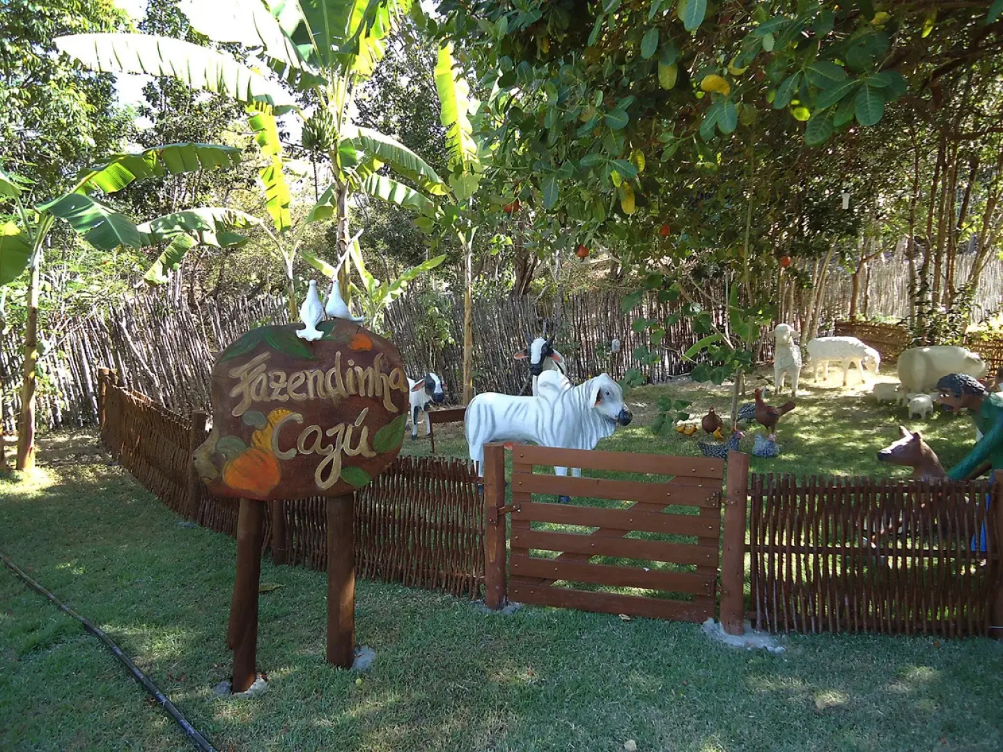 Caju Montebello Pipa