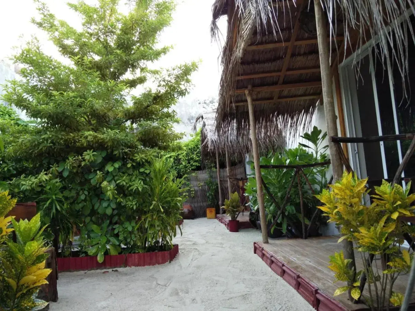 Maafushi View