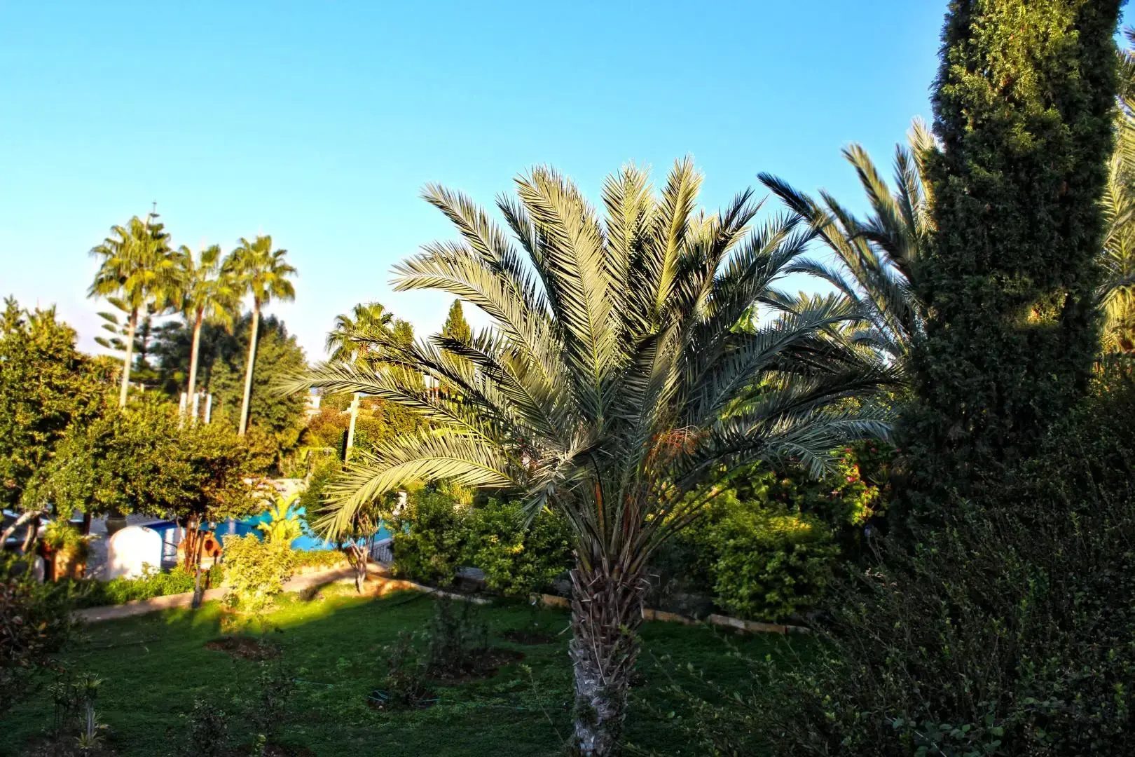 Bellapais Gardens