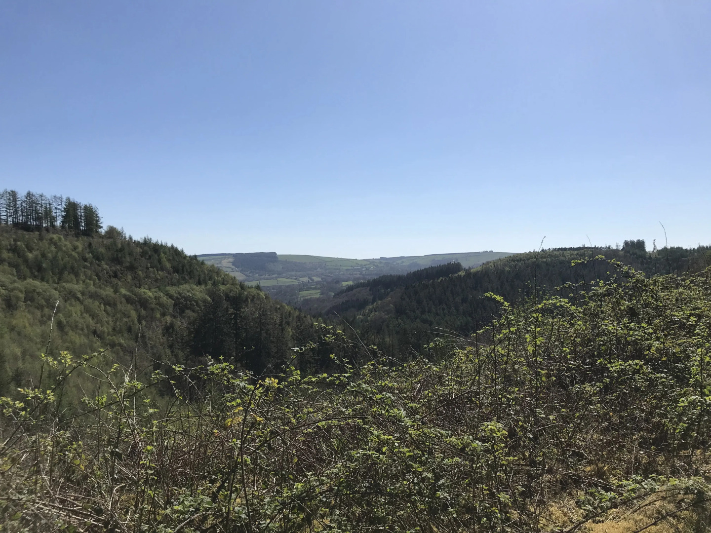 Tŷ Mawr Country Hotel
