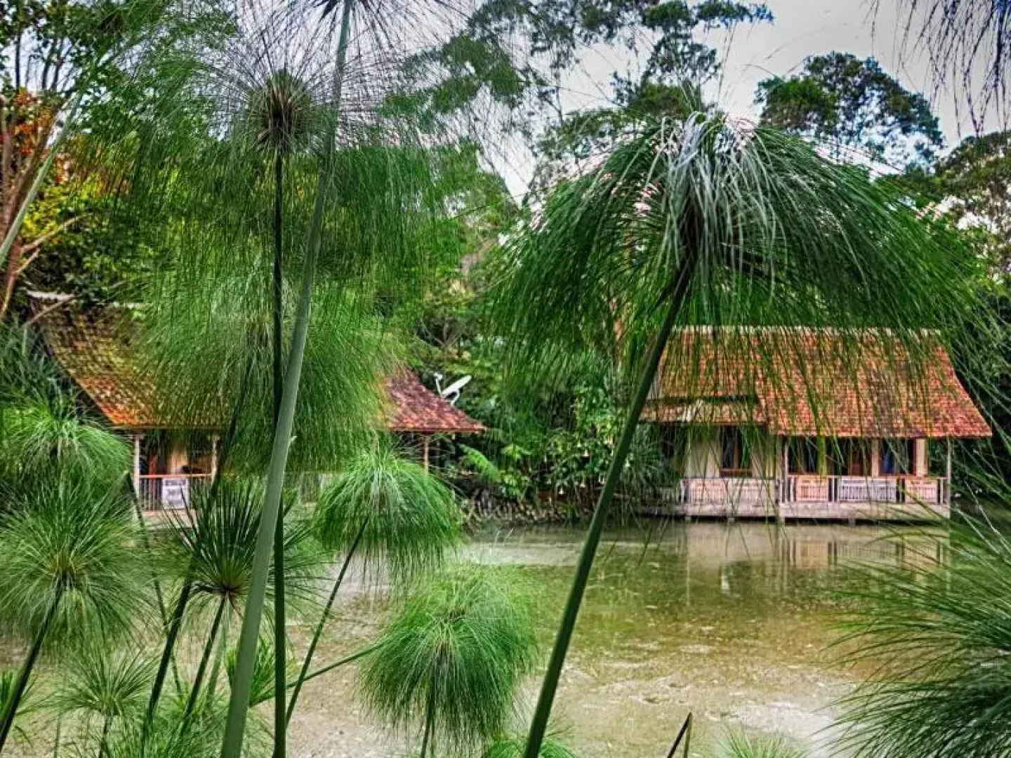 Sapulidi Cafe, Resort & Gallery