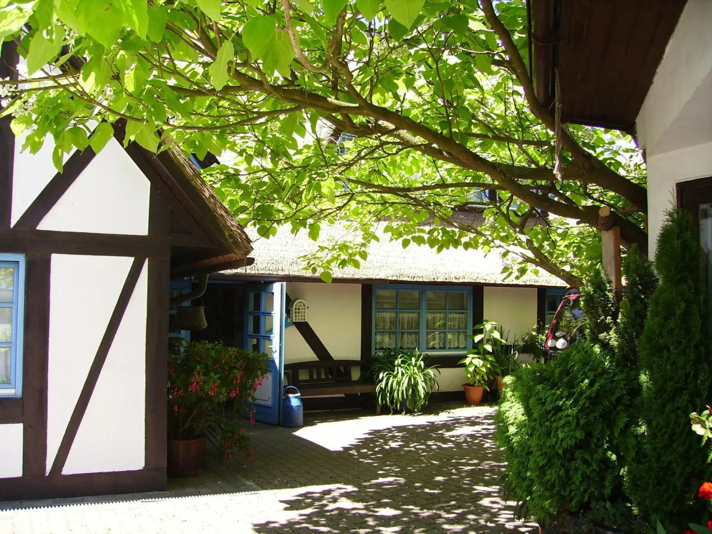 Pension Schwalbennest