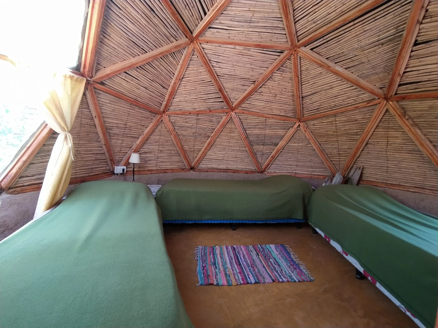 Hostel Casa Arbol