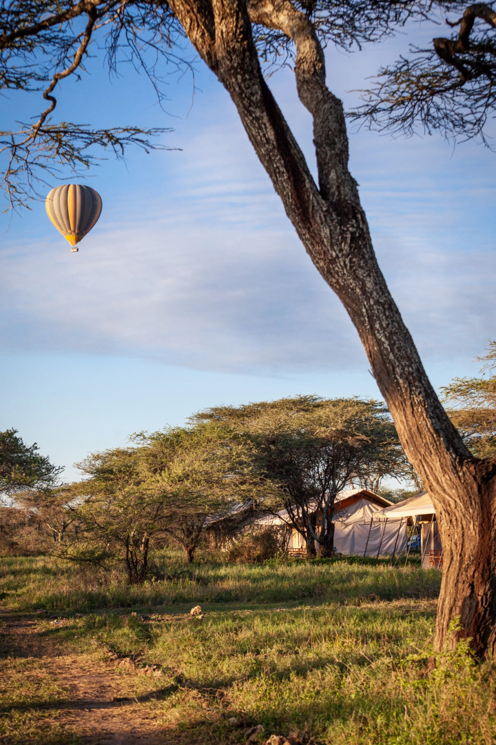 Gnu Ndutu Camp