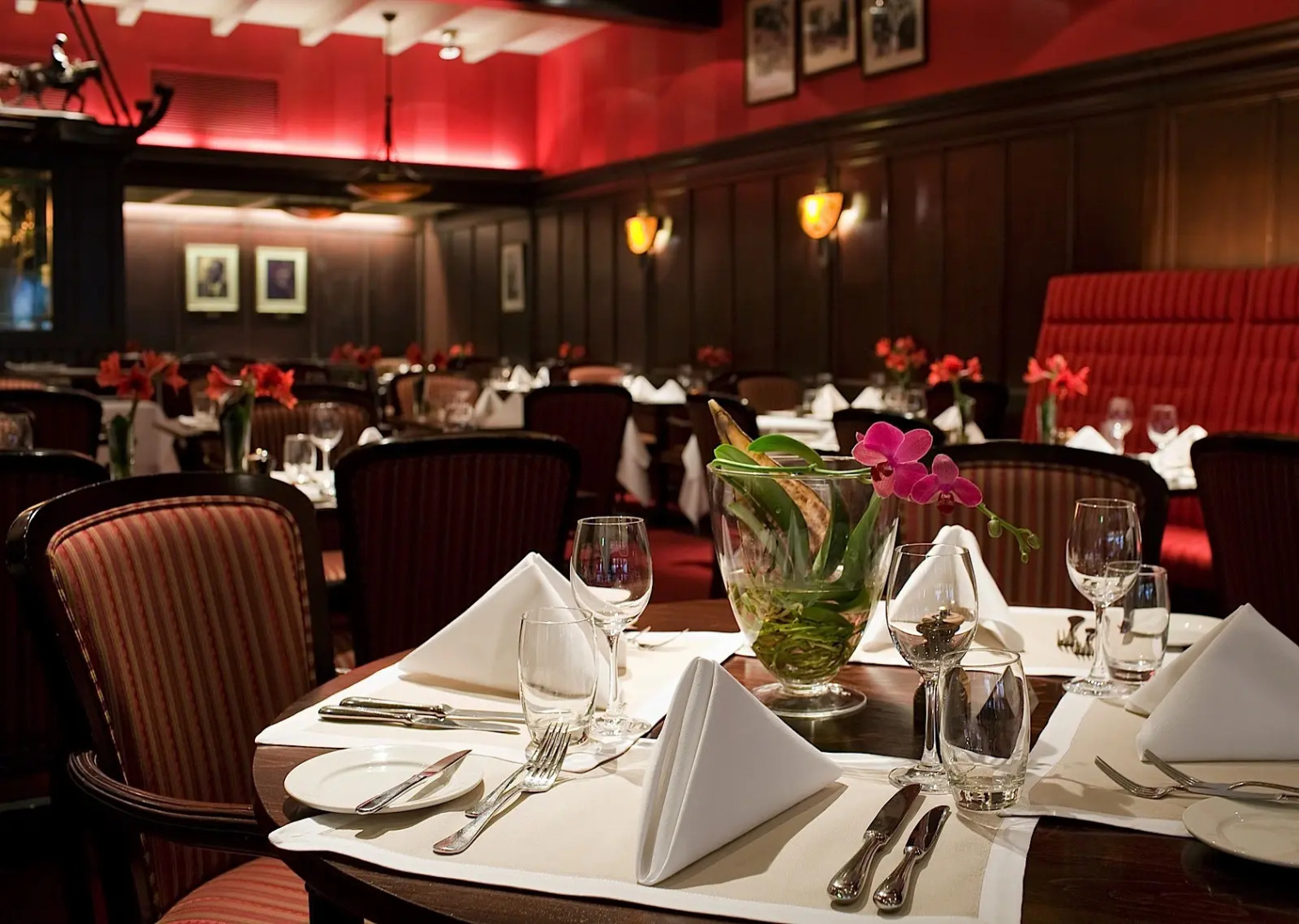 Hotel Amsterdam De Roode Leeuw