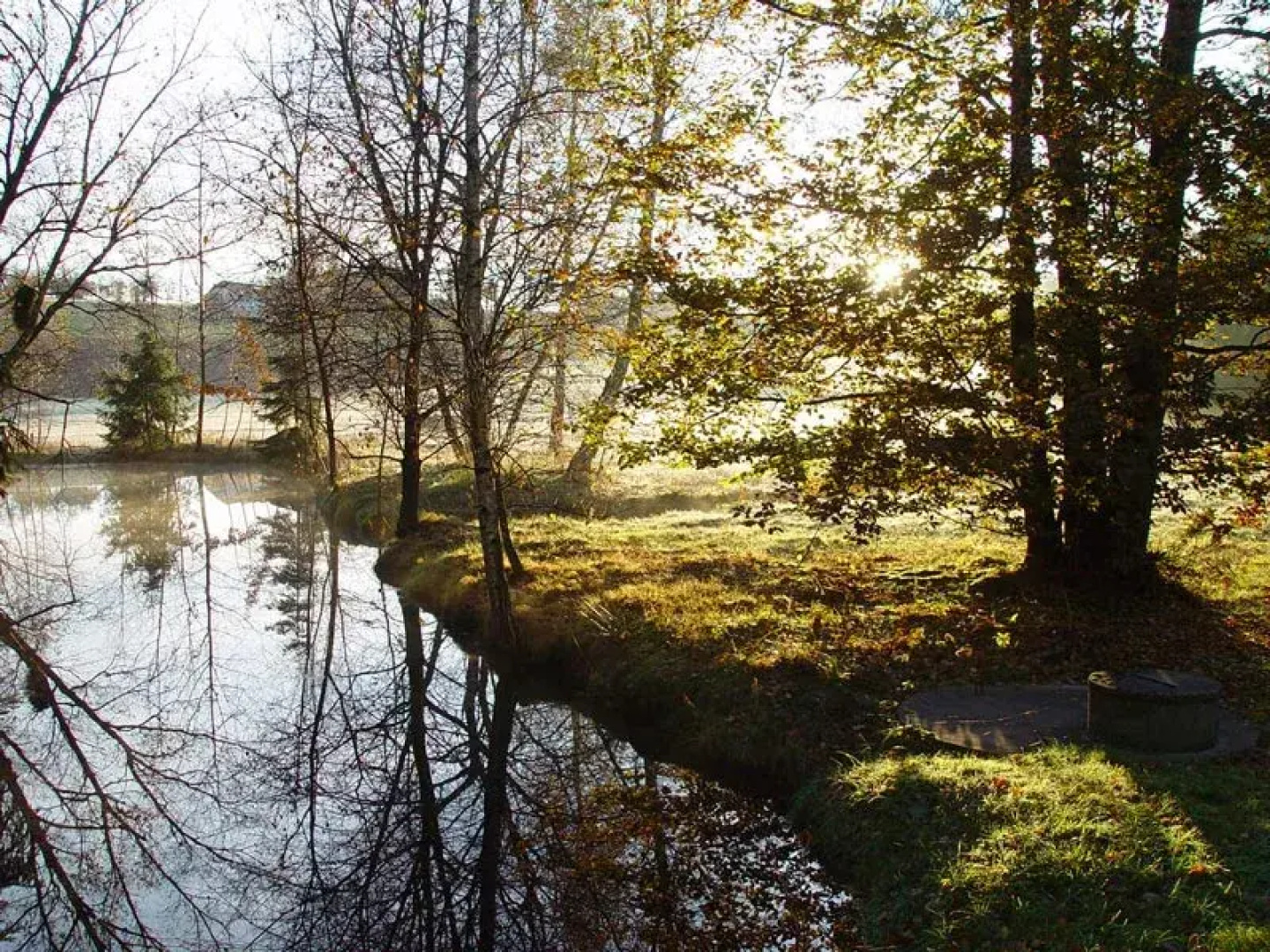 Moorbad Gmoes