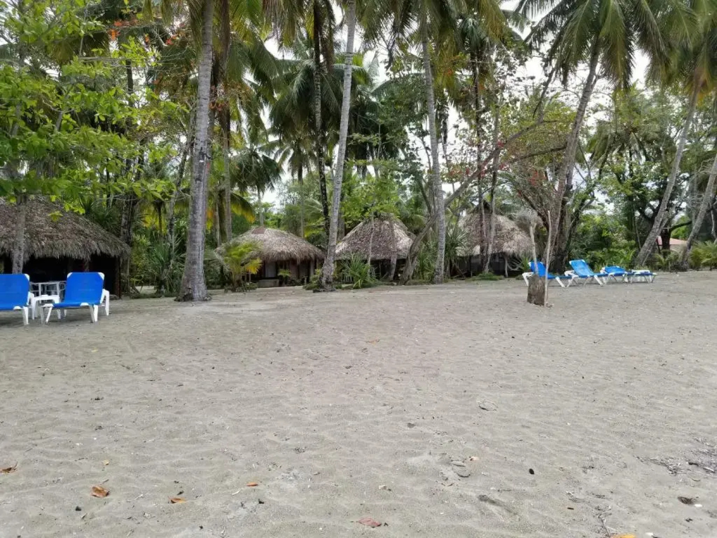 Отель Playa Paraiso en Magante
