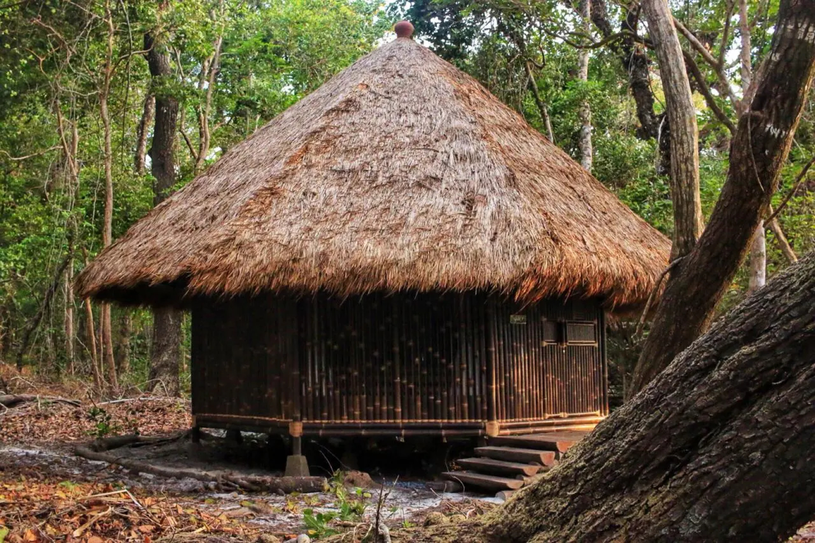 NIKKI Peucang Resort