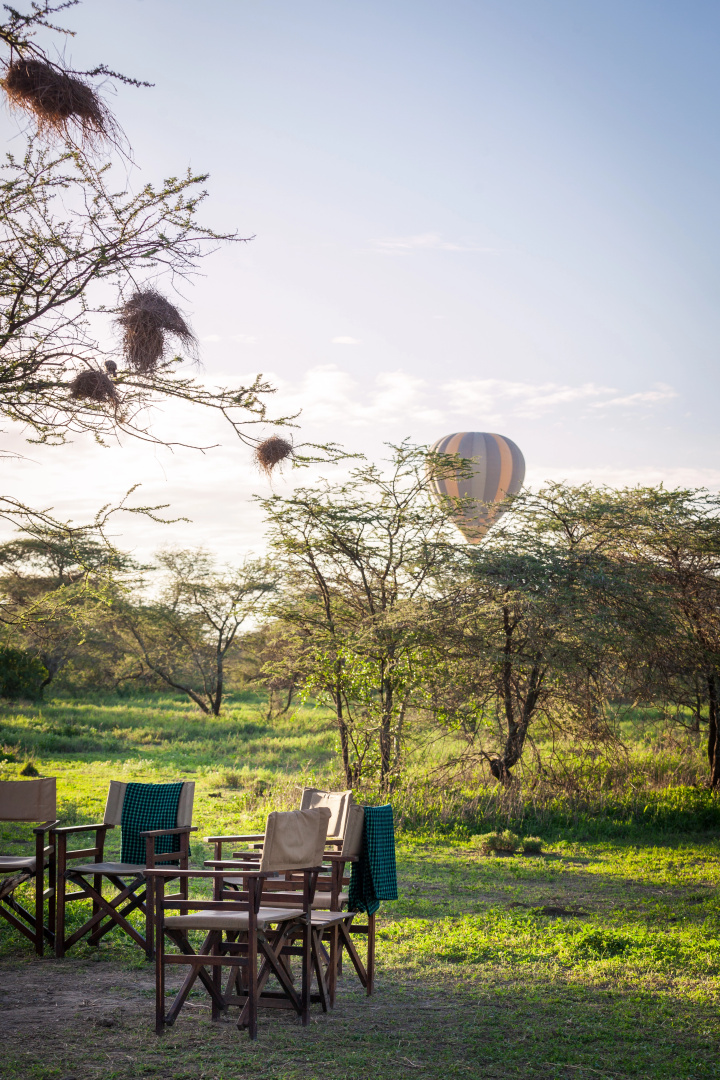 Gnu Ndutu Camp