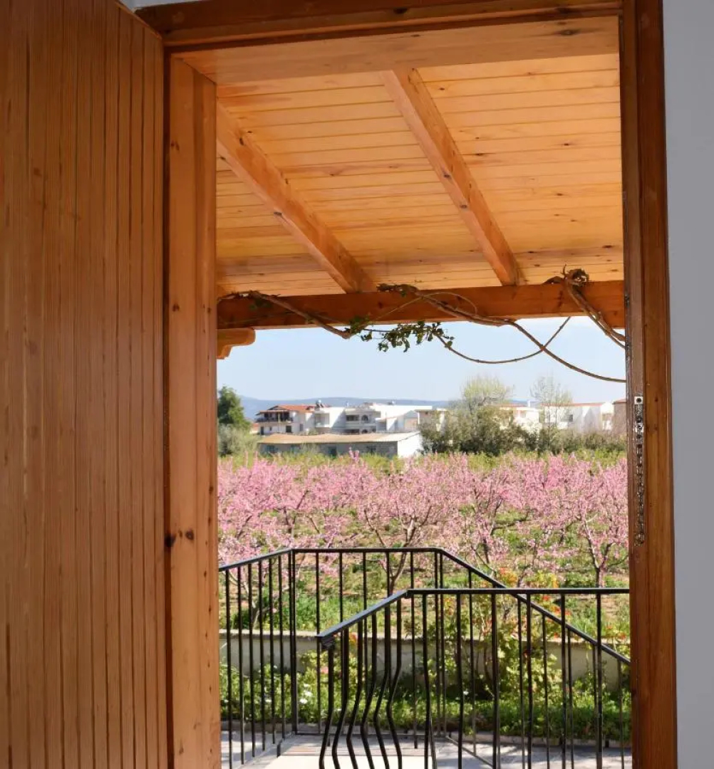 Candia Studio