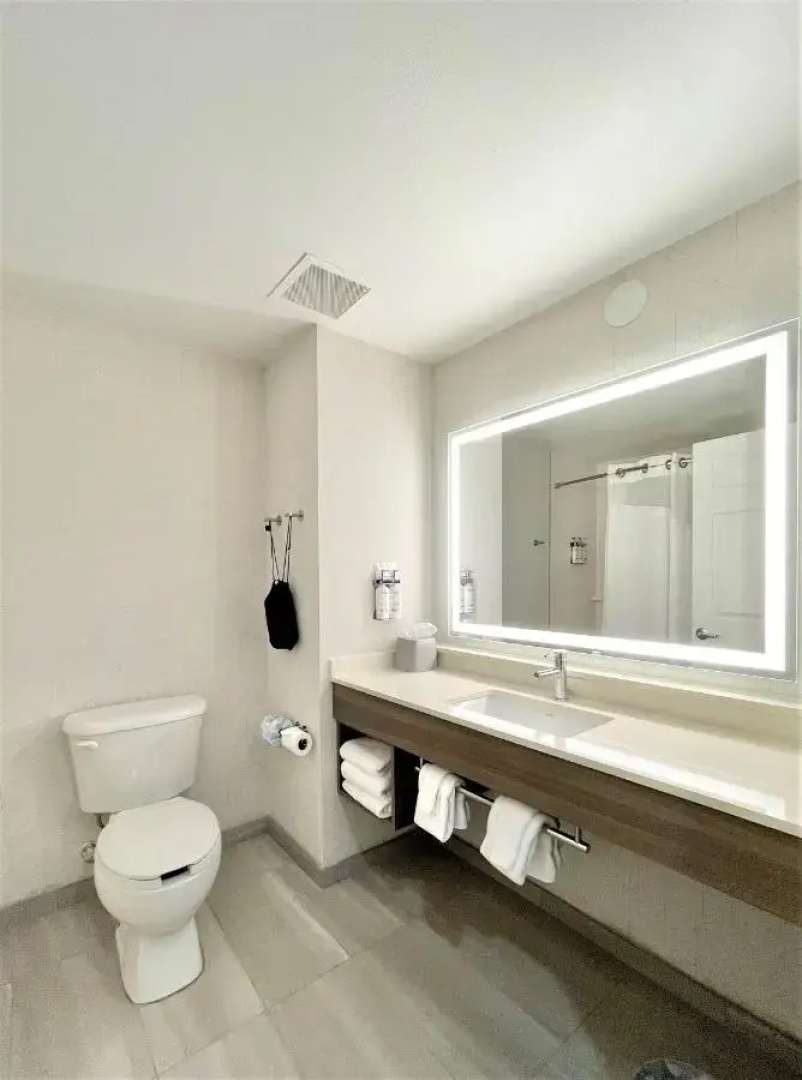 Holiday Inn Express Hotel & Suites New Tampa I-75 by IHG