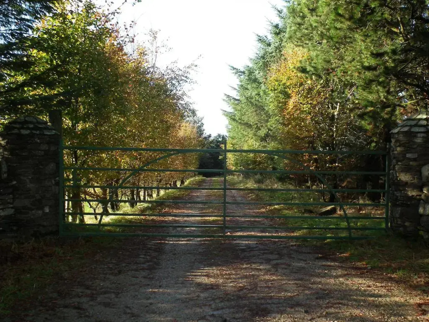 Pollan Rua Cottage & Barn