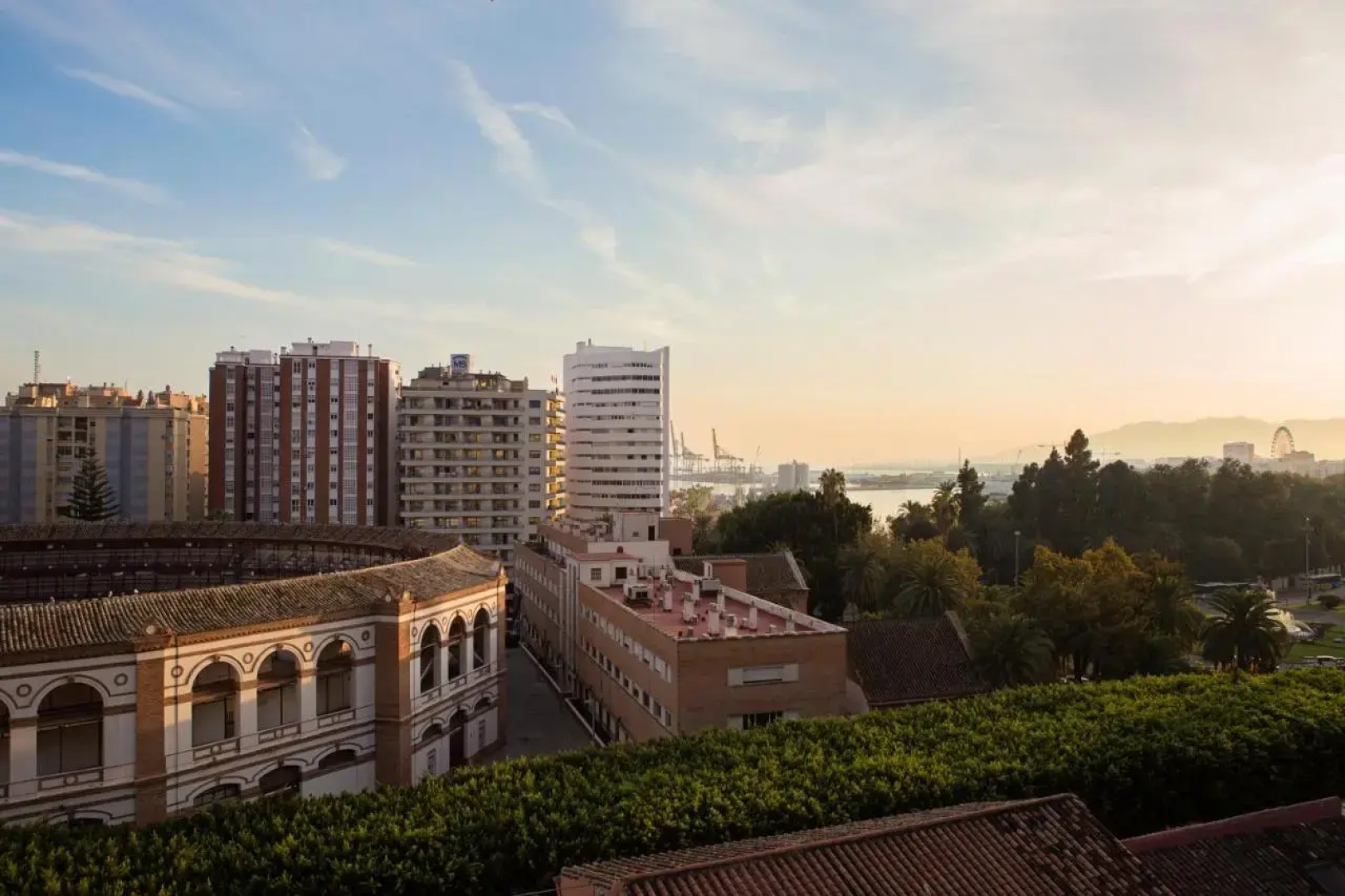 Отель Málaga Eliseos